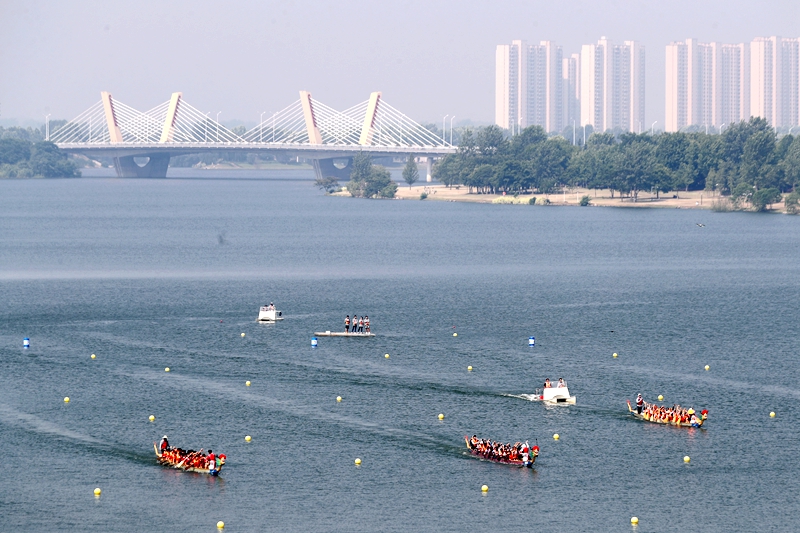 淠水飛舸競渡疾