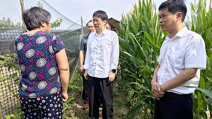 即知即改 立行立改 六安市抓好省生態環境保護督察轉辦信訪件邊督邊改工作