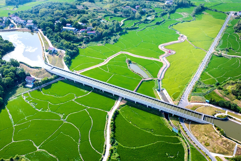 清波蕩漾保灌溉