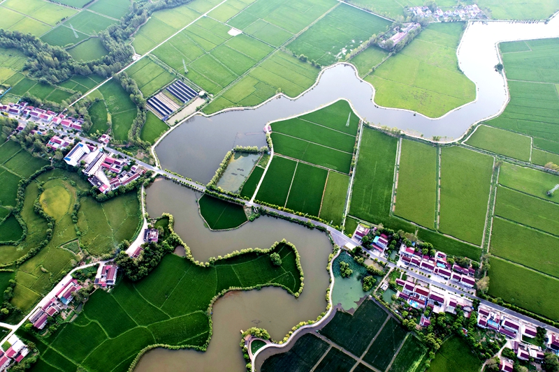 初秋田園別樣美