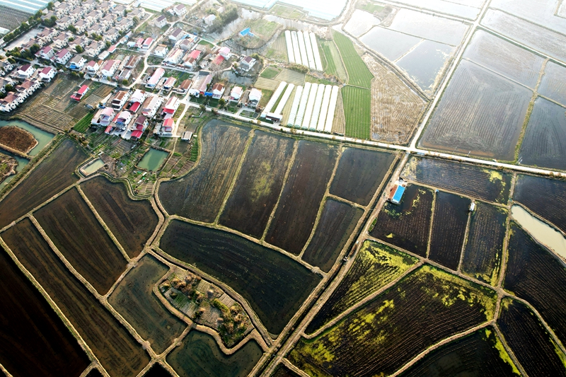 早春田園美如畫