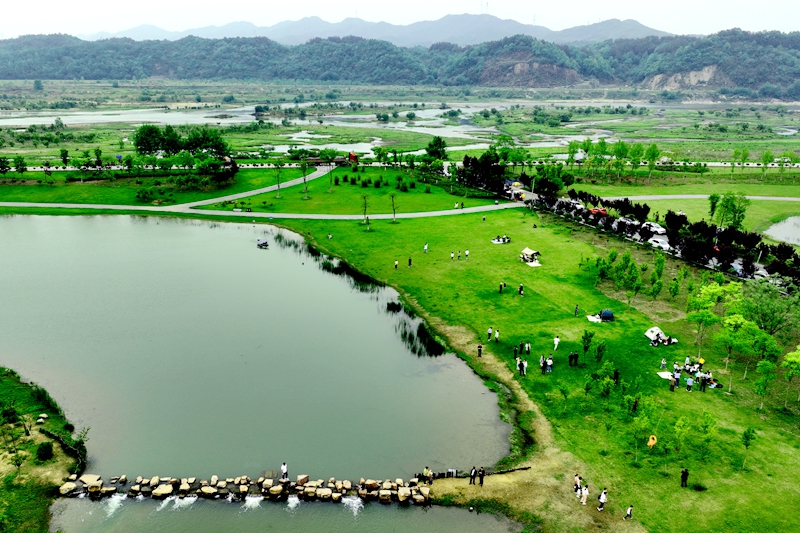 濕地美景引客來