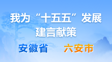 我為“十五五”發展建言獻策