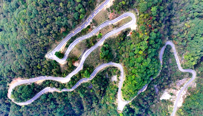 風景道鋪展新“豐”景