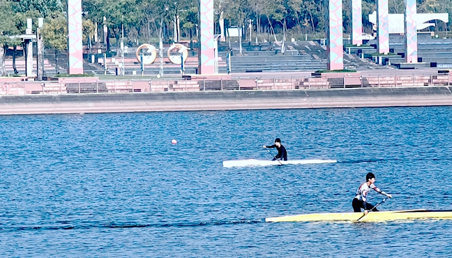 深秋揮槳淠水歡歌