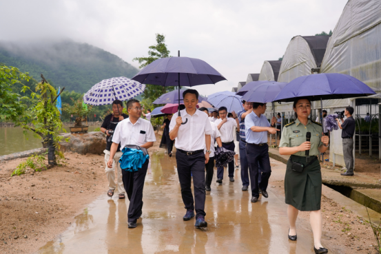 全省退役軍人參與鄉村振興基層治理暨重點工作推進會在金寨召開